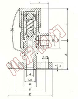 A41Y-160(�η��m)����΢�����]ʽ�߉���ȫ�y,�Y(ji��)��(g��u)�D