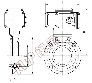 D921電動衛(wèi)生型蝶閥尺寸圖