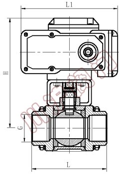 Q911內(nèi)螺紋電動球閥 結(jié)構(gòu)圖