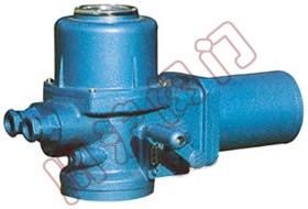 Q����DZW��늄�(d��ng)�b��