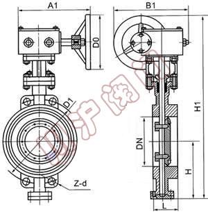 ��ƫ�Ķ��Ӵ�Ӳ�ܷ���y,�Y���D
