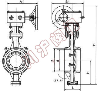 對焊蝶閥,結(jié)構(gòu)圖