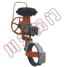 ZMAW��ӱ�Ĥ�{��(ji��)���y