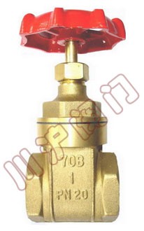 �S�~�z���l�y